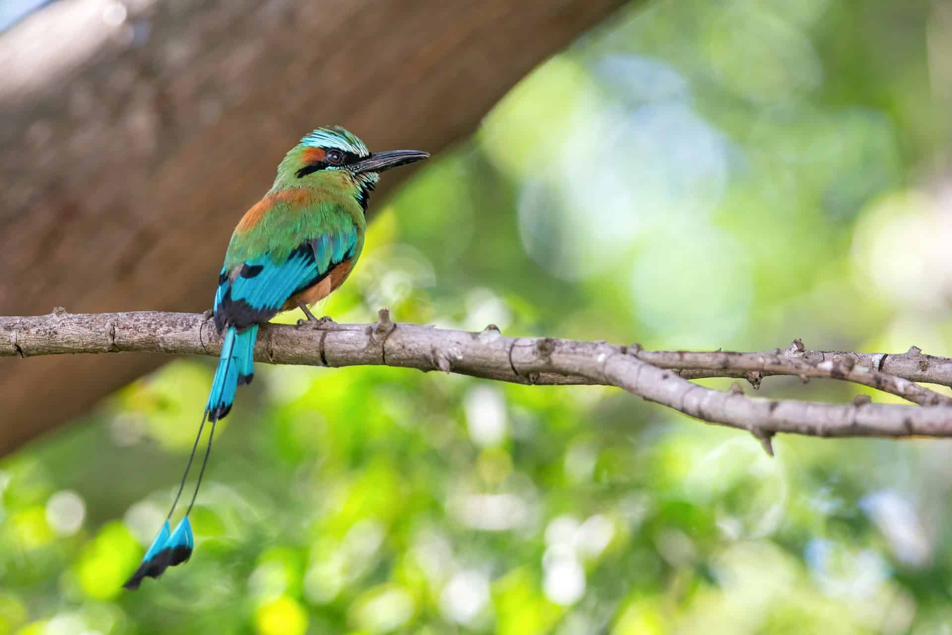 Tour Nicaragua Classica