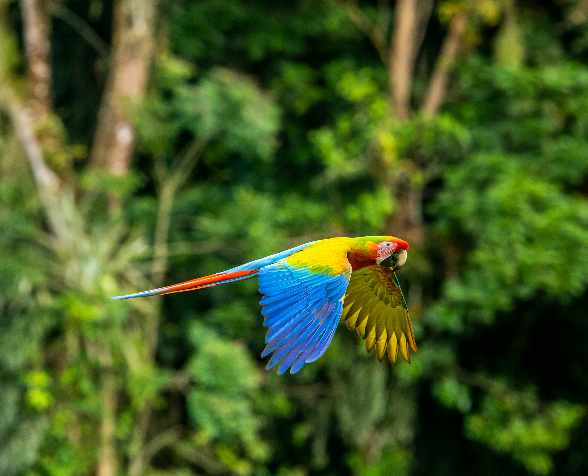Tour Costa Rica Classica e mare