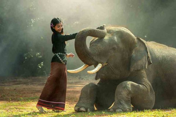 R317_Thailandia3