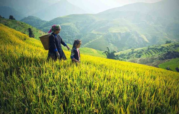 R344_Vietnam e Sapa3