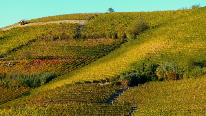 alba-langhe1