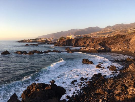 canarie