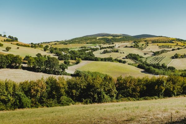 marche